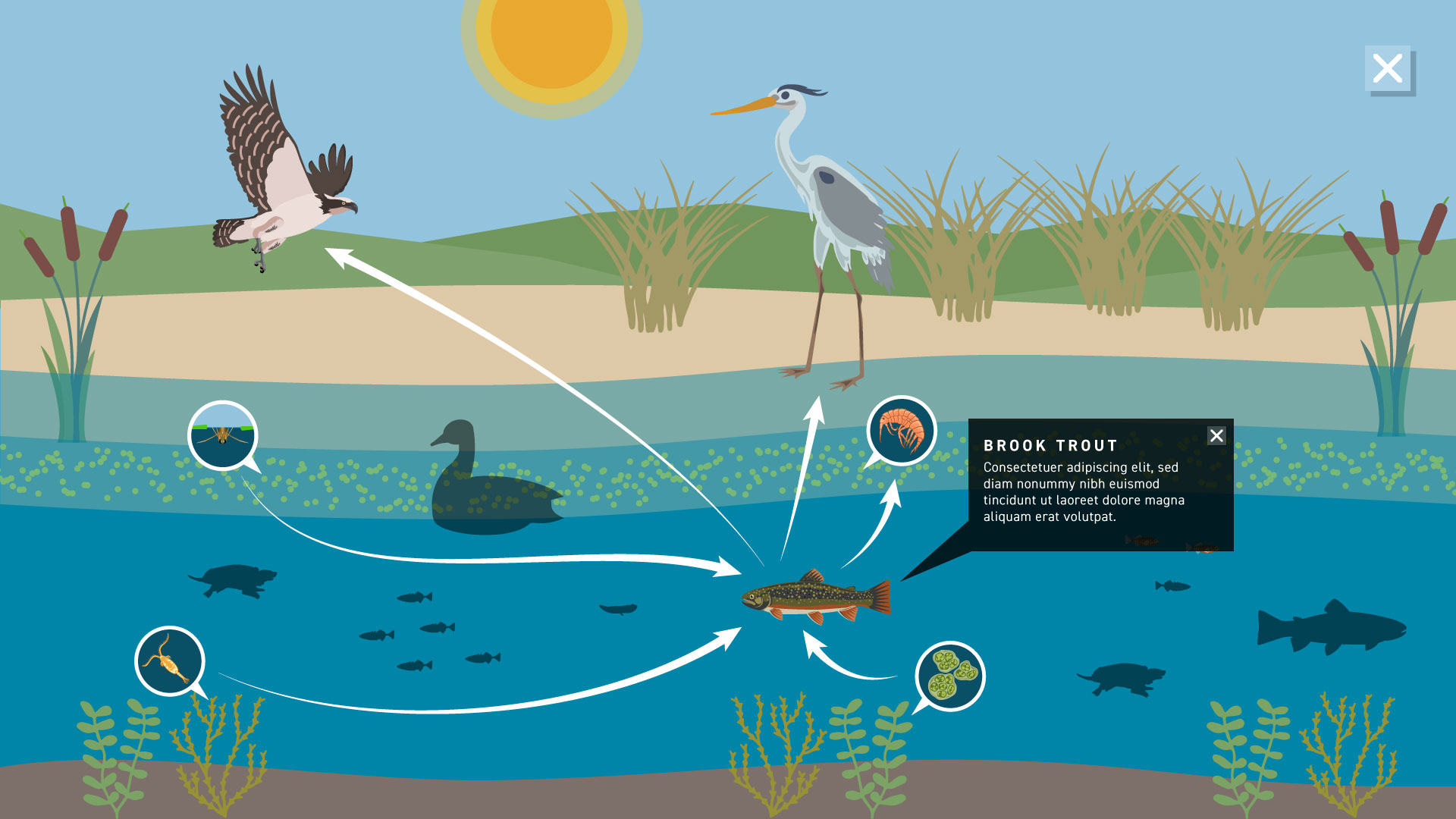 Stylized depictions of wildlife animate to depict local consumer-resource systems, emphasizing the importance of preserving habitats.